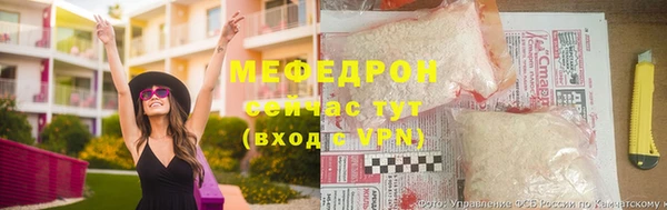 стафф Новозыбков