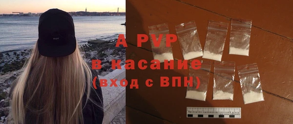 стафф Новозыбков