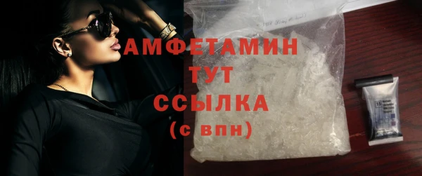 стафф Новозыбков