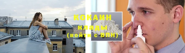 стафф Новозыбков