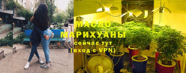 стафф Новозыбков