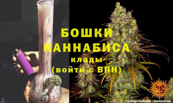 гашик Семёнов