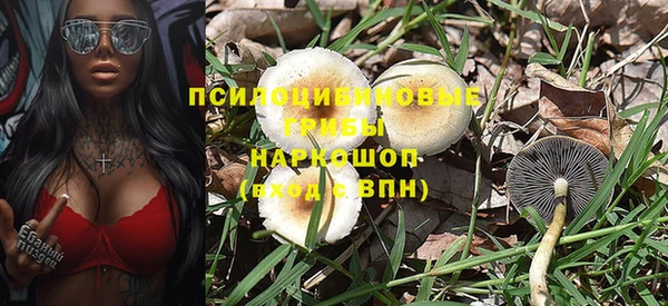 гашишное масло Новодвинск