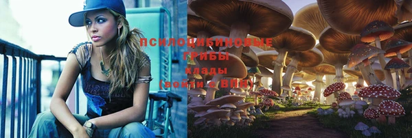гашик Семёнов